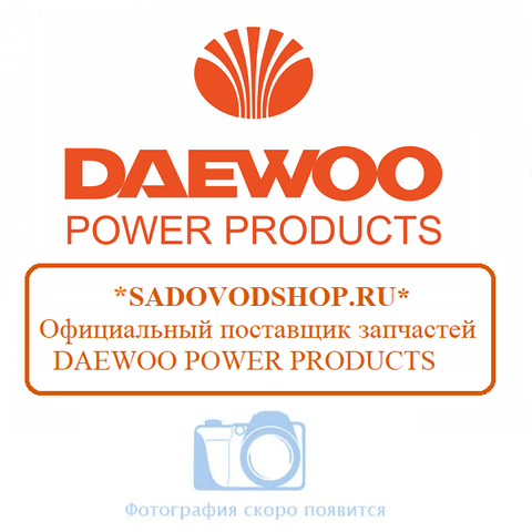 Карбюратор Daewoo DLM 48SP